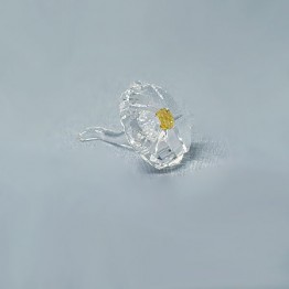 Swarovski Kristal | SCS | Leden Geschenken | SCS - Ledengeschenk 2017 - Wilde Bloem | 5244642